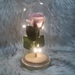 Örök rózsa üvegbúrában, LED világítással 18 cm