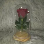 Örök rózsa üvegbúrában, LED világítással 18 cm