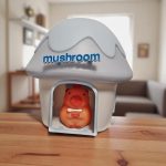 Gomba alakú éjjeli lámpa capybarával , led usb