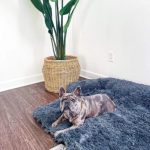 Szőrme kutya ágy, kanapévédő, fekhely 