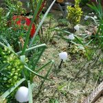 Leszúrható, napelemes gomba , LED szolár , 480cm 