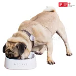 Petkit okos etetőtál, kutyáknak, macskáknak, Fresh Smart Antibacterial
