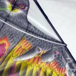 sárkányrepülő, szélsárkány