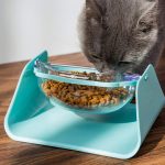 Ergonomikus, 15°-ban dönthető macskatál, cica tál 