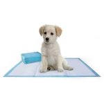 Kutyapelenka/helyhez szoktató szobatisztaságra nevelő 60x60cm