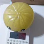Extra Óriás squishy Dumpling csillámos