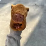 Capybara plüss, csuklóra tehető 