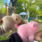 Capybara plüss, csuklóra tehető 