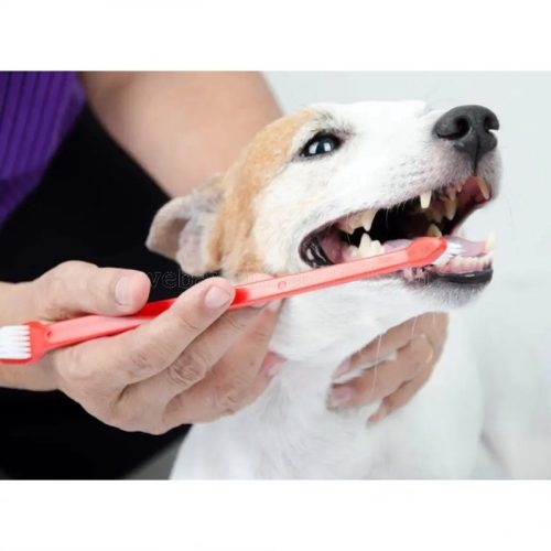 Kutya, macska, kisállat fogtisztító szett, fogkefe és 2 ujjra húzható fogkefe