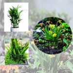 Virágtartó gyűrű, virágtámasz, állítható magasság 