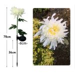 Napelemes napraforgó,  LED kerti világítás 2db-os