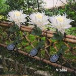 Napelemes napraforgó,  LED kerti világítás 2db-os