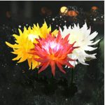 Napelemes napraforgó,  LED kerti világítás 2db-os