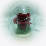 Örök rózsa üvegbúrában, LED világítással 10cm