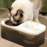 Automata szökőkút itató etetőtál macskáknak, kutyáknak 