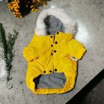 Meleg, bélelt, kapucnis kutyakabát