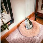 Nyugtató kutya , cicaágy, pihe puha szőrmés kutyafekhely, barna 