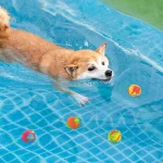 Splash vizen pattogó labda és vizibomba 6db